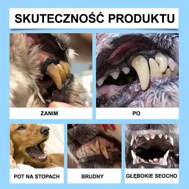 [𝑂𝑓𝑖𝑐𝑗𝑎𝑙𝑛𝑦 𝑆𝑘𝑙𝑒𝑝] 🐕‍🦺𝐿𝑢𝑥𝑎𝘳𝘪𝘴𝘦® 𝑃ł𝑦𝑛 𝑑𝑜 𝑃𝑖𝑒𝑙ę𝑔𝑛𝑎𝑐𝑗𝑖 𝐽𝑎𝑚𝑦 𝑈𝑠𝑡𝑛𝑒𝑗 𝑖 𝑍𝑑𝑟𝑜𝑤𝑖𝑎 𝑇𝑟𝑎𝑤𝑖𝑒𝑛𝑛𝑒𝑔𝑜 𝑑𝑙𝑎 𝑍𝑤𝑖𝑒𝑟𝑧ą𝑡 – Ś𝑤𝑖𝑒ż𝑦 𝑂𝑑𝑑𝑒𝑐ℎ, 𝑀𝑛𝑖𝑒𝑗 𝐾𝑎𝑚𝑖𝑒𝑛𝑖𝑎 𝑁𝑎𝑧ę𝑏𝑛𝑒𝑔𝑜 𝑖 𝑊𝑠𝑝𝑎𝑟𝑐𝑖𝑒 𝑤 𝑅𝑒𝑔𝑒𝑛𝑒𝑟𝑎𝑐𝑗𝑖 𝐷𝑧𝑖ą𝑠𝑒ł (𝑑𝑙𝑎 𝐾𝑜𝑡ó𝑤 𝑖 𝑃𝑠ó𝑤) – 𝑂𝑠𝑧𝑐𝑧ę𝑑ź 𝑑𝑜 70% 𝐷𝑧𝑖ś!