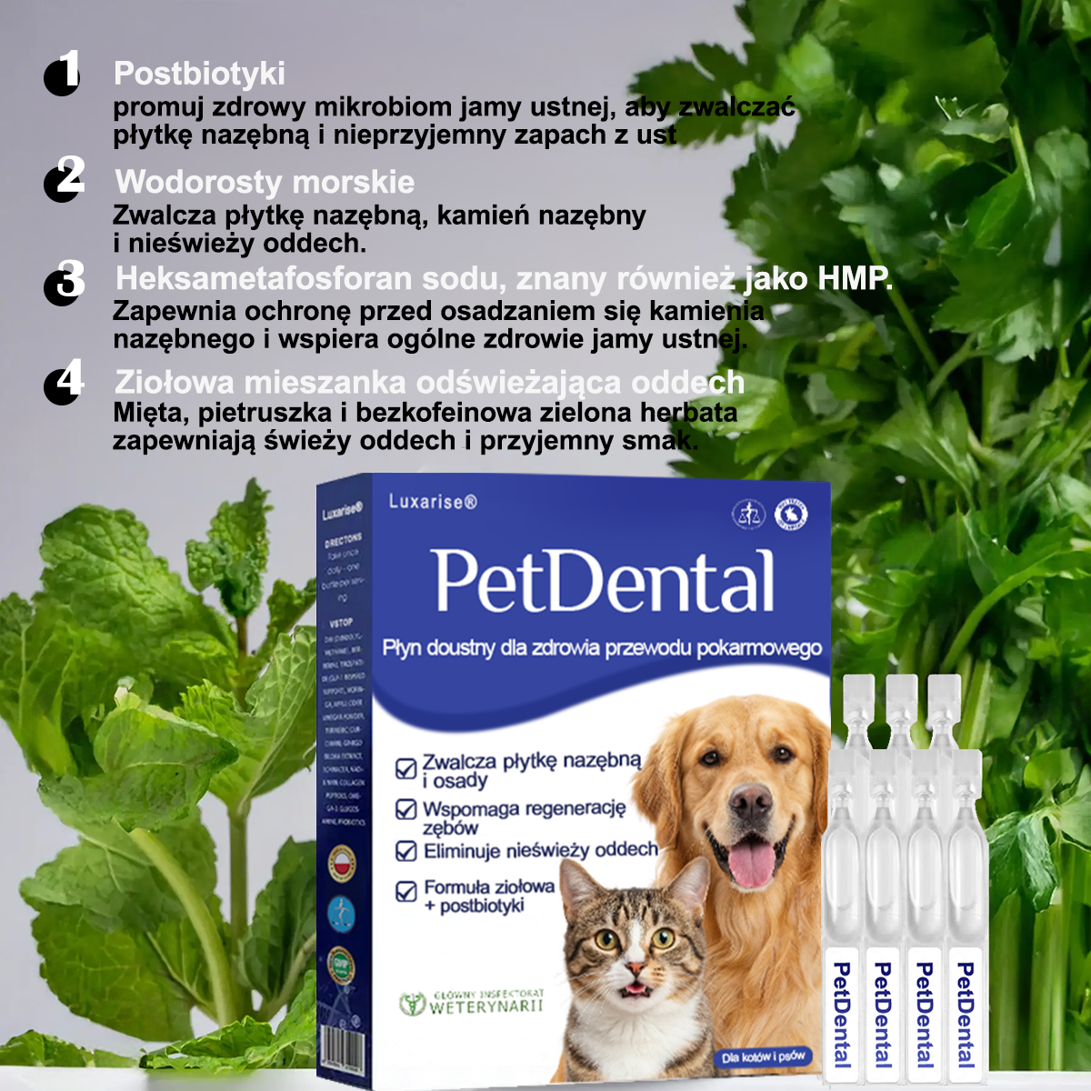 [𝑂𝑓𝑖𝑐𝑗𝑎𝑙𝑛𝑦 𝑆𝑘𝑙𝑒𝑝] 🐕‍🦺𝐿𝑢𝑥𝑎𝘳𝘪𝘴𝘦® 𝑃ł𝑦𝑛 𝑑𝑜 𝑃𝑖𝑒𝑙ę𝑔𝑛𝑎𝑐𝑗𝑖 𝐽𝑎𝑚𝑦 𝑈𝑠𝑡𝑛𝑒𝑗 𝑖 𝑍𝑑𝑟𝑜𝑤𝑖𝑎 𝑇𝑟𝑎𝑤𝑖𝑒𝑛𝑛𝑒𝑔𝑜 𝑑𝑙𝑎 𝑍𝑤𝑖𝑒𝑟𝑧ą𝑡 – Ś𝑤𝑖𝑒ż𝑦 𝑂𝑑𝑑𝑒𝑐ℎ, 𝑀𝑛𝑖𝑒𝑗 𝐾𝑎𝑚𝑖𝑒𝑛𝑖𝑎 𝑁𝑎𝑧ę𝑏𝑛𝑒𝑔𝑜 𝑖 𝑊𝑠𝑝𝑎𝑟𝑐𝑖𝑒 𝑤 𝑅𝑒𝑔𝑒𝑛𝑒𝑟𝑎𝑐𝑗𝑖 𝐷𝑧𝑖ą𝑠𝑒ł (𝑑𝑙𝑎 𝐾𝑜𝑡ó𝑤 𝑖 𝑃𝑠ó𝑤) – 𝑂𝑠𝑧𝑐𝑧ę𝑑ź 𝑑𝑜 70% 𝐷𝑧𝑖ś!